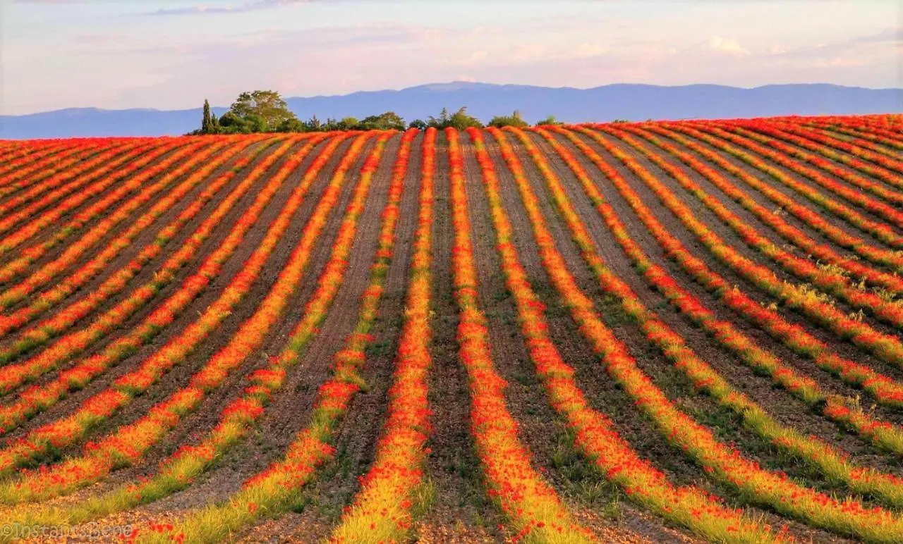 Silence Provence Bed & Breakfast Lardiers